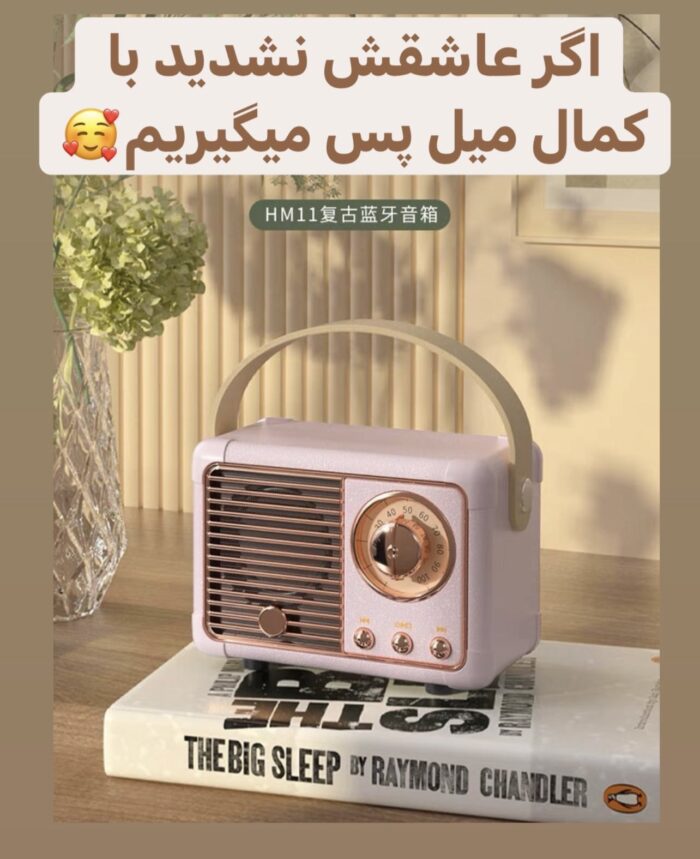 مینی اسپیکر الیس